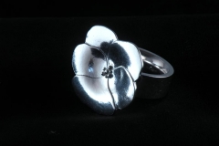 12018 Viola -ring
